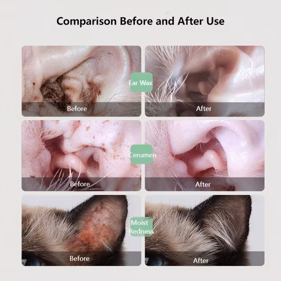 Lingettes de toilettage pour animaux de compagnie de conception OEM lingettes d'oreille de dent d'oeil de vétérinaire général pour les lingettes pour animaux de compagnie de chien et de chat