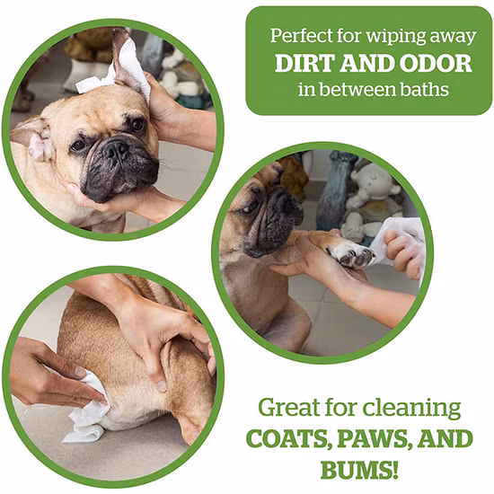 Commerce de gros pour le toilettage des animaux domestiques Lingettes humides Chat Chien Bouche Oreille Lingettes Doux Non-Tissé Pet Lingette Humide